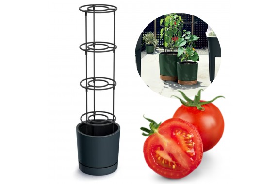 Doniczka do domowej uprawy Pomidorów Home Grower 35L Czarna