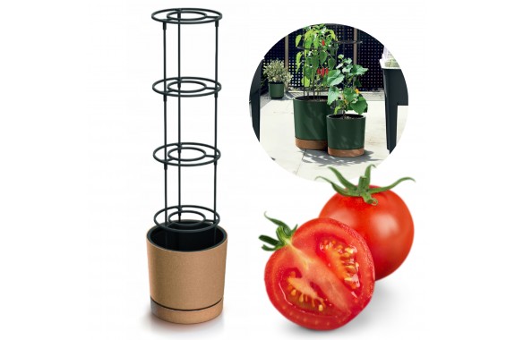 Doniczka do domowej uprawy Pomidorów Home Grower 35L Czarna