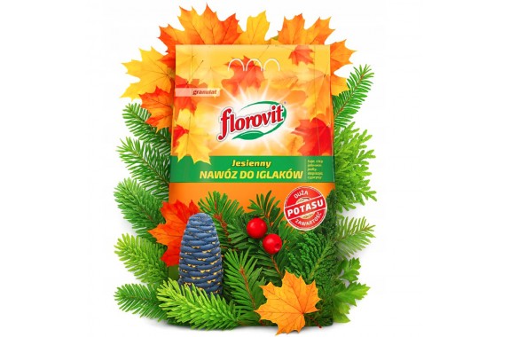 FLOROVIT Nawóz jesienny do Iglaków i Tui granulat Worek 3kg