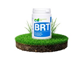 Biozym Regenerator Trawników Bakterie Glebowe BRT 500 g