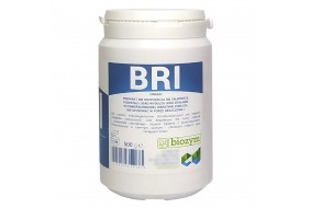 Biozym BRI Regenerator Iglaków Do drzew Iglastych 500 g