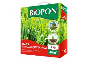 BIOPON Trawa Samozagęszczająca Szybki Wzrost 40 m2 1 kg