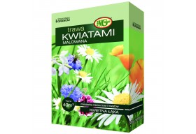 GRANUM Trawa Kwiatami Malowana karton 1kg 40m2