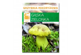 Gąska zielona hodowla mikoryzowa opak. 150g żywa grzybnia