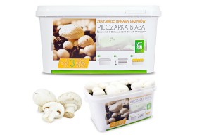 Exotic Grow Zestaw do uprawy grzybów pieczarka biała grzybnia 5L