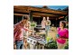 Broil King grill gazowy Signet 320 3 palniki żeliwny ruszt aromatyzery (946853PL)