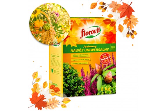 FLOROVIT Nawóz Jesienny uniwersalny granulowany Karton 2kg