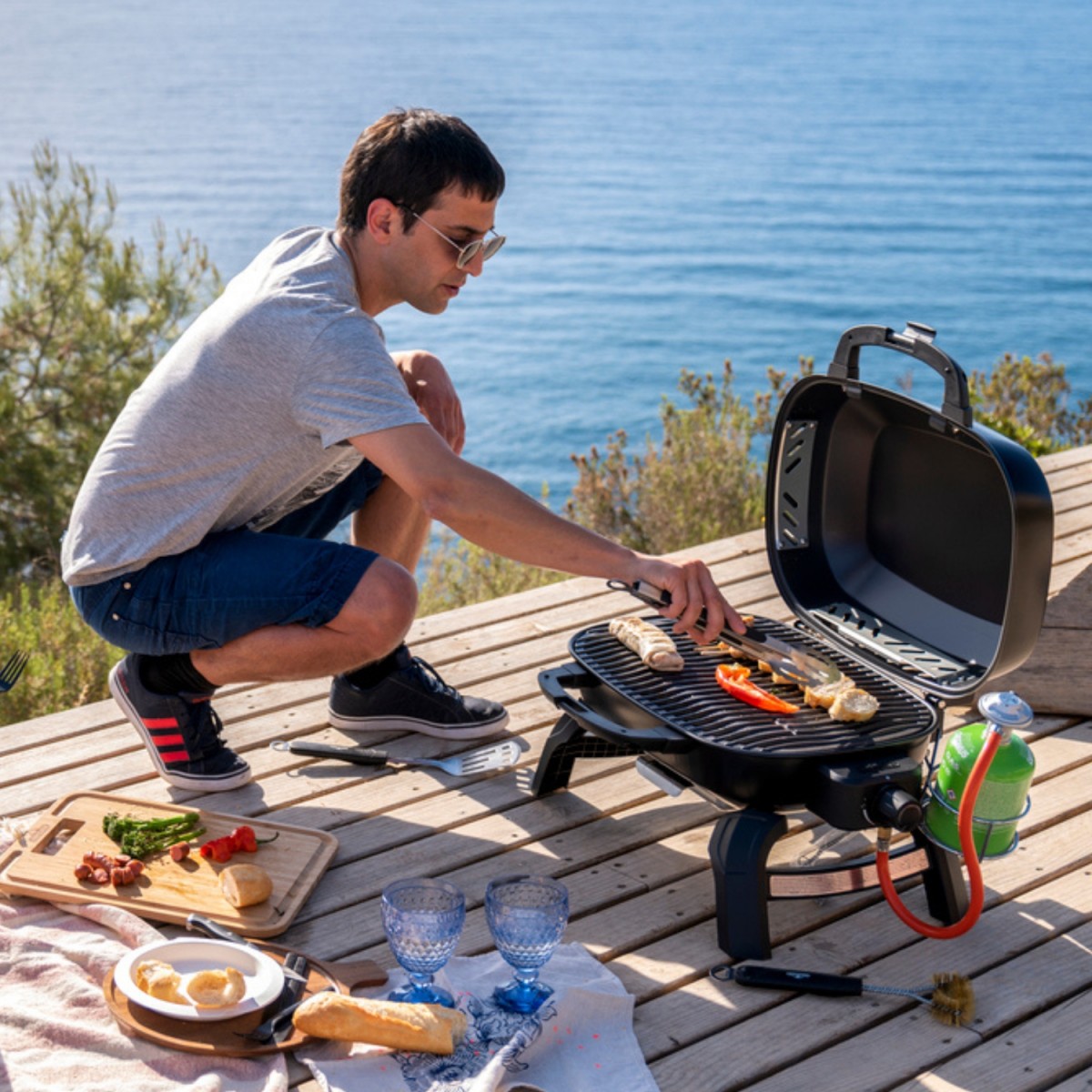 Przenośny Grill Gazowy na Kartusze NAPOLEON TravelQ 240