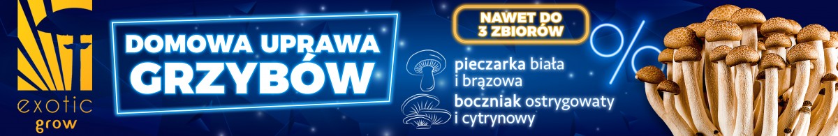 black week domowa uprawa grzybów żywa grzybnia pieczarki boczniaka