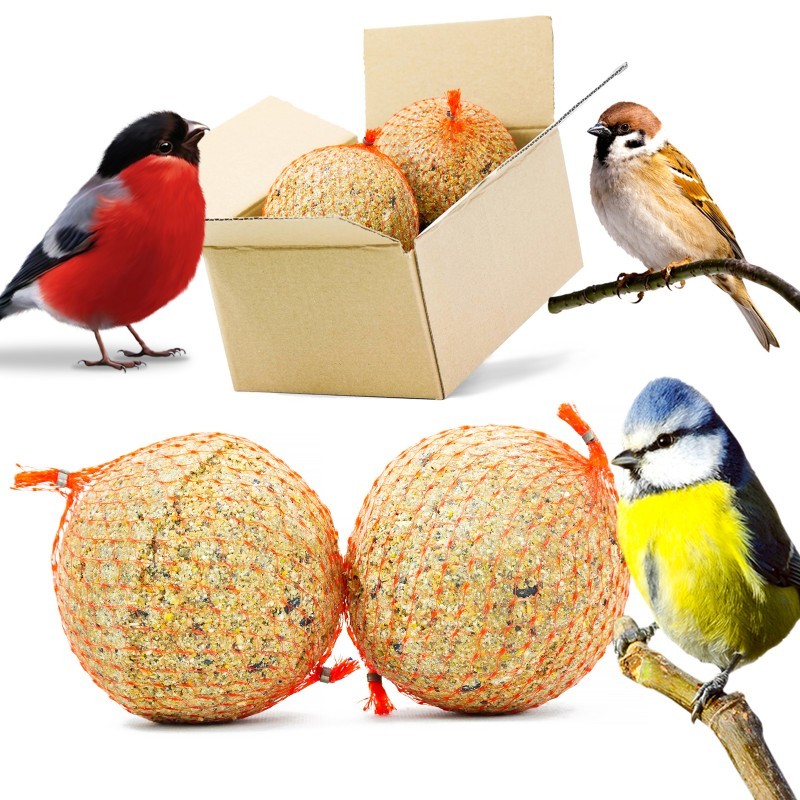 Pokarm dla dzikich ptaków Pyzy tłuszczowe 500g karma dokarmianie ptaków Zestaw 2 szt.