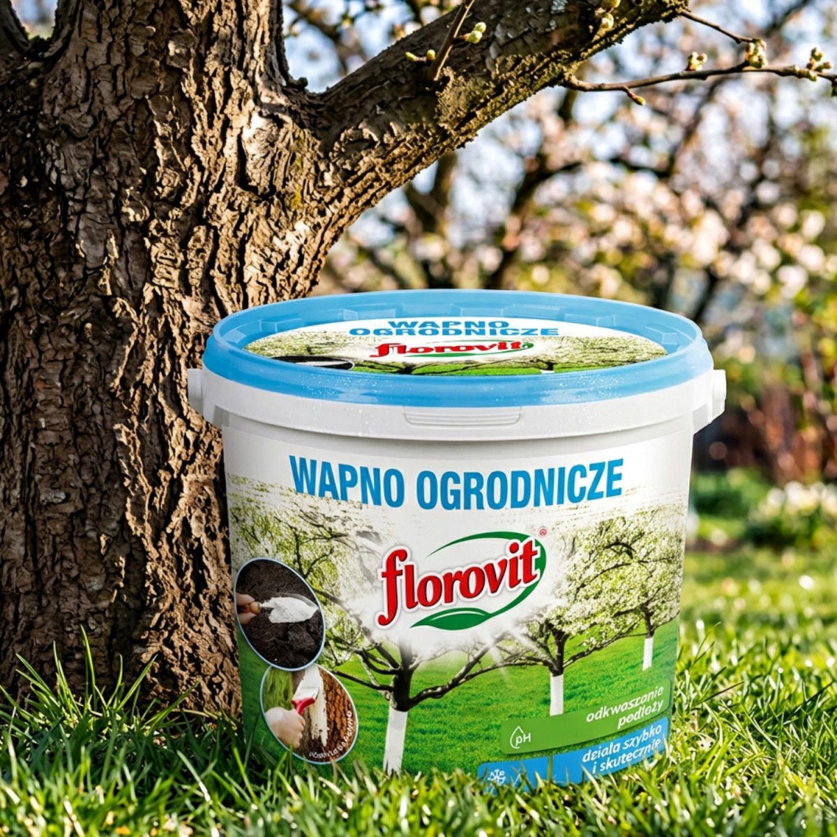 Wapno Ogrodnicze Bielenie drzew Odkwaszanie Florovit Wiaderko 1kg