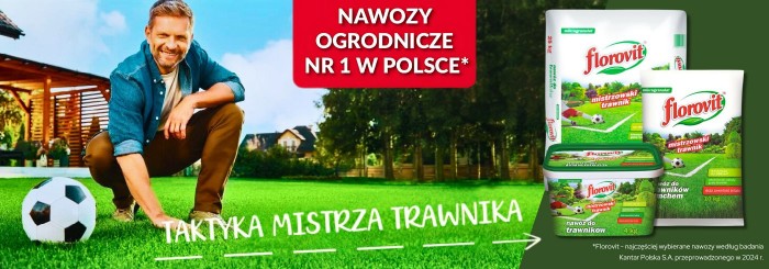 Taktyka Mistrza Trawnika, czyli poradnik jak stworzyć Mistrzowski Trawnik u siebie! [ZOBACZ]